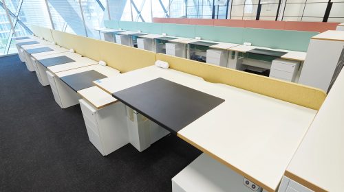 RFIB-Work21-Sit-Stand-Raised-800-Series-Pedestals-and-E-Series-Screen